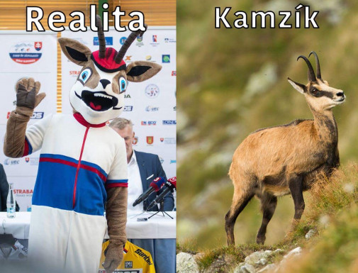 Realita